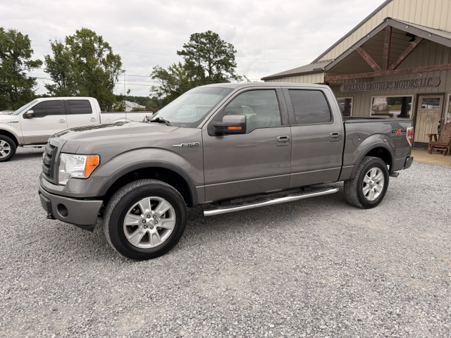 2010 Ford F-150